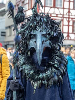 Ein Vogel an der Fasnacht. (Bild: Theres Nussbaumer, Luzern, 2. März 2019)