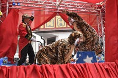 Die Sumpftüüfel Gonten bringen den Zirkus Knie nach Appenzell.