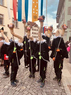 Eine Straussenfamilie in Sursee. (Bild: Cornelia Bühler, Sursee, 2. März 2019)