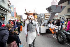 Impressionen vom Umzug in Schachen. (Bild: Manuela Jans-Koch, Schachen, 2. März 2019)