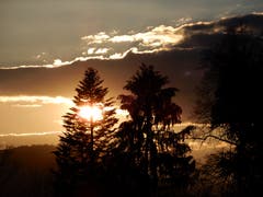 So eine Sonnenuntergangs-Stimmung auf der Wanderung von Meggen nach Luzern zu geniessen ist immer wieder wunderschön. (Bild: Margrith Imhof-Röthlin, Luzern, 19. März 2019)