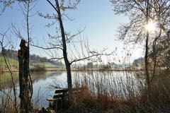 Verwunschenes Plätzchen am Weiher. (Bild: Hedy Muff-Ruckli, Willisau, 20. März 2019)
