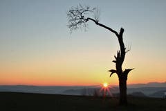 Einmal mehr den Sonnenaufgang auf dem Bodenberg beobachten. (Bild. Irene Wanner, Zell, 20. März 2019)