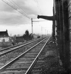 Der Rüssel eines Elefanten des Zirkus Knie ragt aus einem Eisenbahnwagen, aufgenommen im Jahr 1960. (Bild: Keystone /Str)