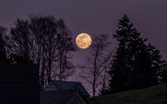 Der stille Mond beim Buchschachen Herisau. (Bild: Luciano Pau)