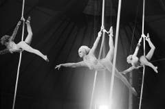 Unter Anleitung und Mitwirkung von Germaine Knie-Theron treten sieben Frauen in einem Luftballett am Vertikalseil auf, aufgenommen am 15. März 1975. (Bild: Keystone /Str)