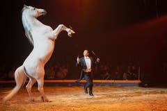 Ivan Frederic Knie während seinem Auftritt an der Premiere zur 100-Jahre-Jubiläumstournee des Circus Knie in Rapperswil (SG), am Donnerstag, 21. März 2019. (Bild: Keystone/Melanie Duchene)