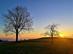 Wunderbarer Sonnenaufgang, aufgenommen in Ruswil. (Bild: Urs Gutfleisch, 22. März 2019)