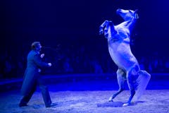 Fredy Knie Jun. während seinem Auftritt an der Premiere zur 100-Jahre-Jubiläumstournee des Circus Knie in Rapperswil (SG), am Donnerstag, 21. März 2019. (Bild: Keystone/Melanie Duchene)