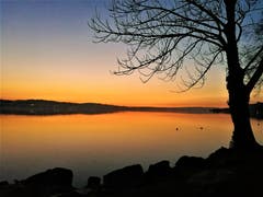 Traumhafte Abendstimmung am Sempachersee. (Bild: Urs Gutfleisch, Sempach, 23. März 2019)