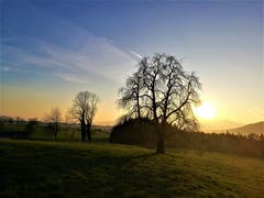 Wunderbarer Sonnenaufgang: Die ersten Sonnenstrahlen erreichen die Naturlandschaft. (Bild: Urs Gutfleisch, Malters, 24. März 2019)