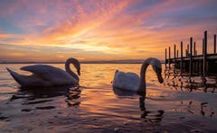 Abendrot am Zugersee. (Bild: Daniel Hegglin, Zug, 22. März 2019)