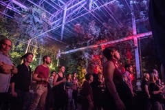 Musik inmitten der Tropen. (Bild: Nadia Schärli, Wolhusen, 23. März 2019)