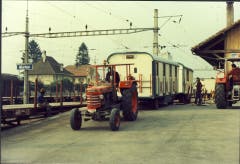 Der Knie-Extrazug im Jahre 1970 am Bahnhof Murten. (Bild: Zirkus Knie)