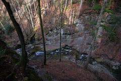Das wild-romantische Klusbachtobel bei Wolfhalden. (Bild: Franz Häusler)