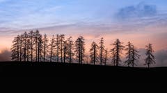 Abendstimmung bei Lutzenland in Herisau. (Bild: Luciano Pau)