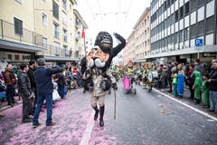 Latärndlihöckler Lozärn. (Bild: Manuela Jans-Koch, Emmen, 3. März 2019).