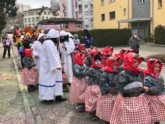 Flawil: Es sind keine Marienkäfer, sondern ganz viele Rotkäppchen.