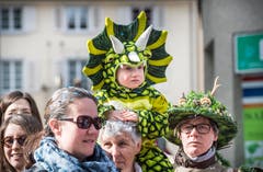 Fasnachtsumzug Frauenfeld. (Bild: Andrea Stalder)