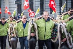 Fasnachtsumzug Frauenfeld. (Bild: Andrea Stalder)