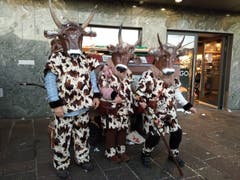 (Bild: Gabrielle Delacroix, Luzern, 28. Februar 2019)