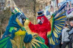 Zwei Papageien der Wagenbaugruppe Delirium mit dem Motto «Zirkus» flattern am Umzug der Egli-Zunft Horw durch das Dorf. (Bild: Pius Amrein, Horw, 3. März 2019)
