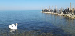 Strandidyll bei Staad. (Bild: Klaus Businger)