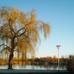 Abendstimmung am Bodensee, fotografiert in Kreuzlingen. (Bild: Thomas Ammann)