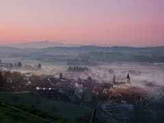 Nebelzauber im Frühling, in Uesslingen. (Bild: Nicolas Giovanettoni)