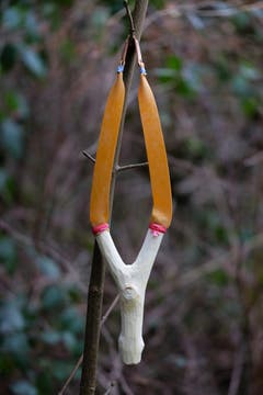 Ein Kuriosum im Goldachtobel: handwerklich vorzüglich gefertigte Steinschleuder, aufgehängt an einem Ast. (Bild: Franz Häusler)