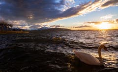 Sonnenuntergang am Zugersee. (Bild: Daniel Hegglin, Zug, 7. März 2019)