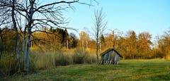 Ein alter Schopf im Weinmoos im Abendlicht. (Bild: Thomas Ammann)