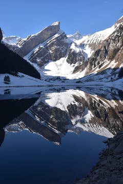 Morgenstimmung am Seealpsee. (Bild: Robert Scherrer)