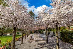 Frühlingsstimmung beim Friedhof Zug. (Bild: Daniel Hegglin, 9. April 2019)