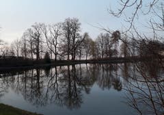 Der Knabenweiher in St. Gallen hat sich von seinem eisigen Winterkleid befreit. (Bild: Theo Stengele-Winiger)