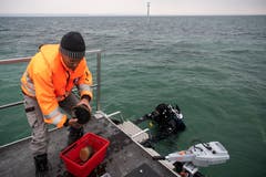 Grabungstechniker Matthias Schnyder nimmt auf dem Floss die Fundstücke von Taucher Thomas Keiser entgegen. (Gian Ehrenzeller/KEY)