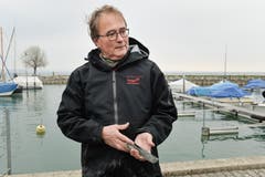 Kantonsarchäologe Hansjörg Brem zeigt im Hafen eines der bronzenen Beile, die beim Mäuseturm am Seegrund gefunden wurden. (Bild: Donato Caspari)