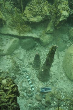 So sehen die Pfähle unter Wasser aus. (Bild: PD)