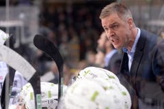 Zugs Trainer Dan Tangnes in Action. (Bild: KEYSTONE/Melanie Duchene)