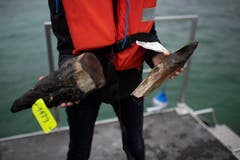 Die Pfähle wurden abgesägt oder aus dem Seegrund gezogen. Der grösste Teil ist während der Jahrhunderte im Wasser zerfallen, weshalb oft nur noch kleine Stücke da sind. (Bild: Gian Ehrenzeller/KEY)