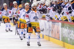 Jubel bei Zugs Torschütze Garrett Roe und dem Team. (Bild: KEYSTONE/Melanie Duchene)