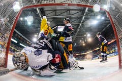 Zugs Torhueter Tobias Stephan Berns Alain Berger und Zugs Dario Simion, von links, beim Tor zum 0-1. (Bild: KEYSTONE/Alexandra Wey, Zug, 13. April 2019)