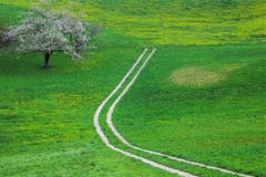Der Weg zum Frühling. (Bild: André Egli, Altbüron, 13. April 2019)