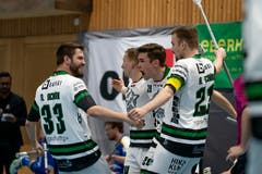 Sarner Torjubel zum 0:1. (Bild: Claudio Schwarz, Kloten, 13. April 2019)