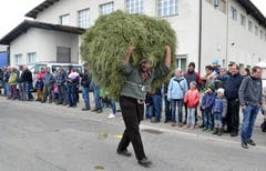 Ich mag das Heu lieber auf dem Kopf, statt auf dem Wagen. (Bild: Peter Jenni)