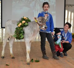 Präsentation der Tiere für den Kälberwettbewerb. (Bild: Peter Jenni)