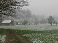 Schnee bis in die Niederungen. (Bild: Irene Wanner (Schötz, 14. April 2019))