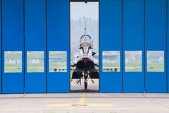 Die Tore öffnen sich, ein F-5E Tiger kommt zum Vorschein. (Bild: Boris Bürgisser, Emmen, 12. April 2019)