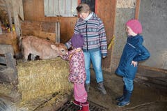 Die Mädchen bevorzugen die Tiere und streicheln und beobachten mit Dora Lenherr ausgiebig die Kälber und Kühe auf dem Hof.