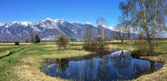 Frühling im Rheintal, aufgenommen in Ruggell. (Bild: Toni Sieber)